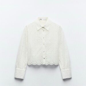 zara embroidered eyelet cropped shirt